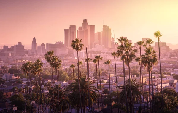 Hermosa puesta de sol del horizonte del centro de Los Ángeles y palmeras — Foto de Stock