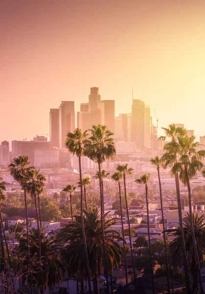 Gyönyörű naplemente a Los Angeles belvárosában található skyline- és pálmafák között — Stock Fotó