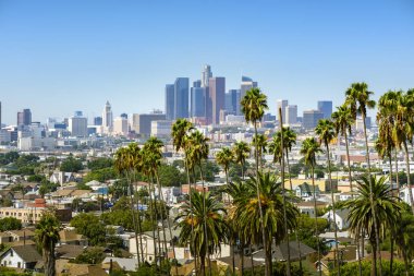 Los Angeles, Kaliforniya, ABD şehir manzarası ve palmiye ağaçları 