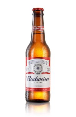 Los Angeles, ABD - 3 Temmuz 2017: Bir Budweiser bira yansıması, ilk 1876 yılında tanıtılan bir Amerikan lager ile beyaz arka plan üzerinde fotoğrafı
