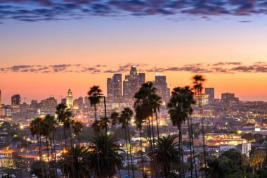 Los Angeles şehir manzarası ve palmiye ağaçları ön plan güzel gün batımı