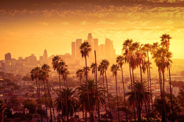 Hermosa Puesta Sol Del Horizonte Del Centro Los Ángeles Palmeras — Foto de Stock