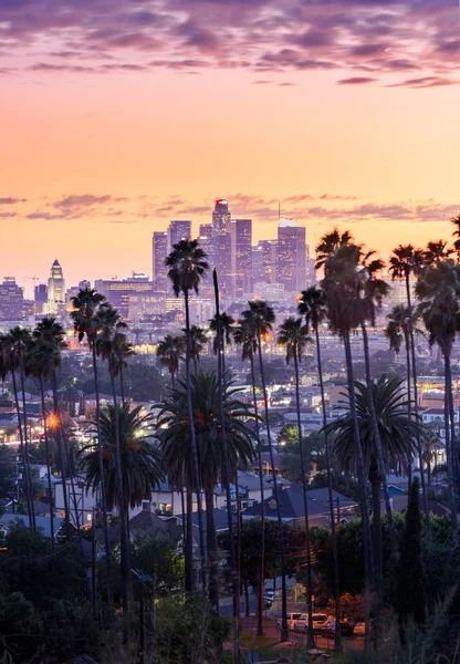 フォア グラウンドでロサンゼルス ダウンタウンのスカイラインとヤシの木の美しい夕日 — ストック写真