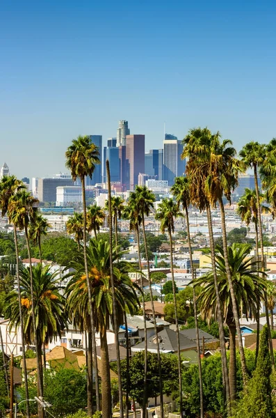 Los Angeles California Usa Downtown Skyline Palm Trees Foreground — Stock Photo, Image