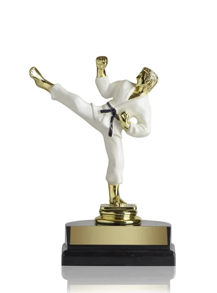 Golden Martial Arts Trophy Isolated White Background — Stock Photo, Image