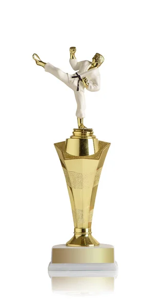 Golden Martial Arts Trophy Isolated White Background — Stock Photo, Image