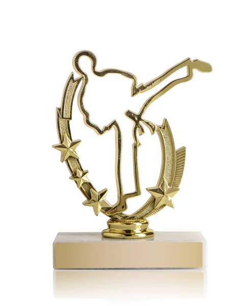 Golden Martial Arts Trophy Isolated White Background — Stock Photo, Image