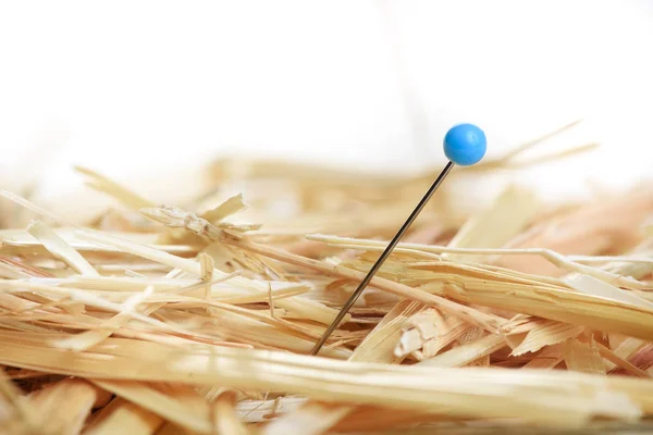 Nærbillede af en nål i høstak - Stock-foto
