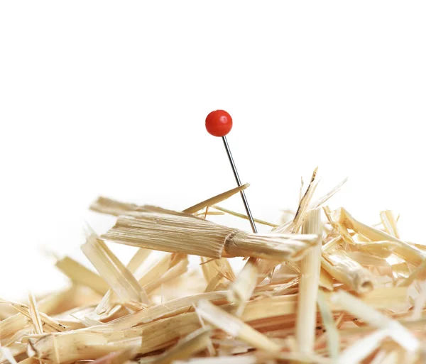 Nærbillede af en nål i høstak - Stock-foto