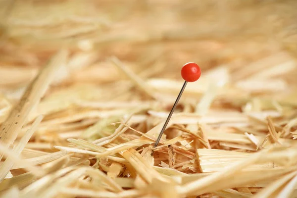 El primer plano de la aguja en el pajar — Foto de Stock