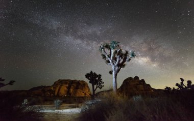 Milky Way Galaxy at night in Joshua Tree National Park, California clipart
