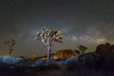 Milky Way Galaxy at night in Joshua Tree National Park clipart