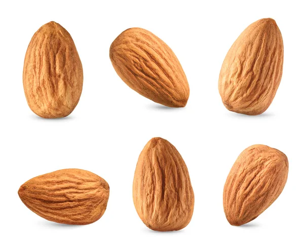 Set d'amandes isolé sur fond blanc — Photo