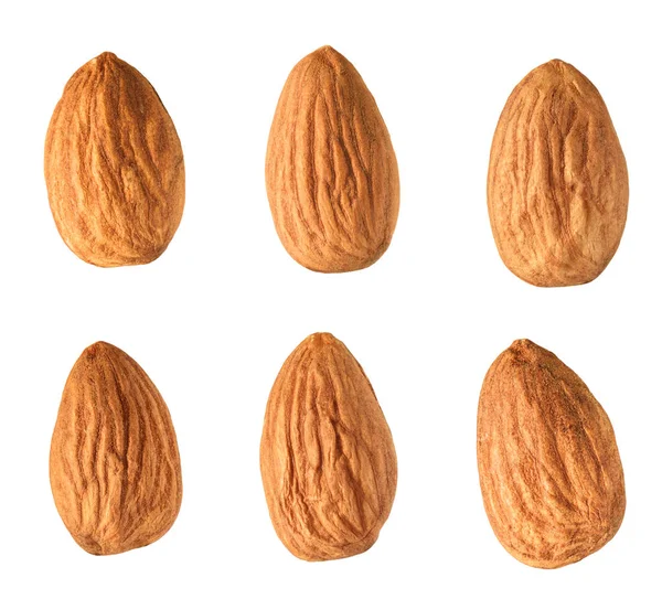 Almond Set Isolated White Background Stock Image