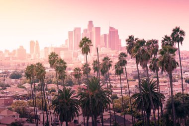 Palmiye ağaçları, Los Angeles, California ile güzel gün batımı