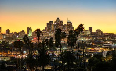 Palmiye ağaçları, Los Angeles, California ile güzel gün batımı