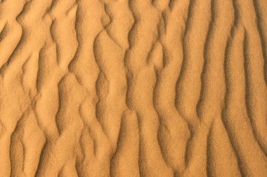 Çöldeki altın kum deseni