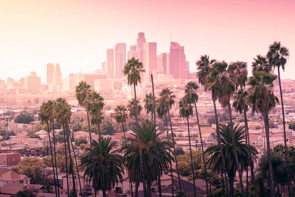 Palmiye ağaçları, Los Angeles, California ile güzel gün batımı — Stok fotoğraf