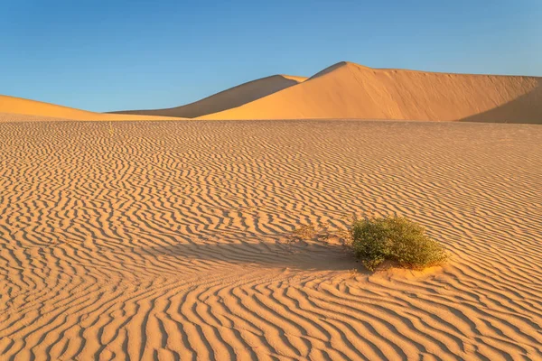 Tramonto Sulle Dune Sabbia Nel Deserto — Foto Stock