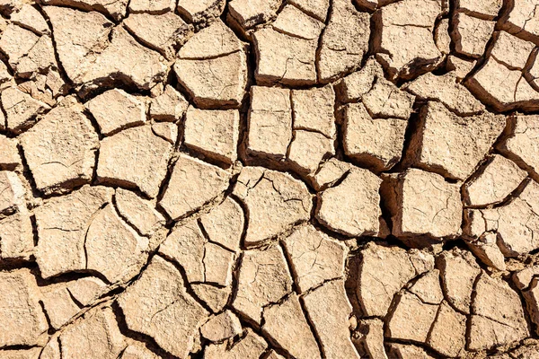 Cracks Dried Soil Background ストック画像