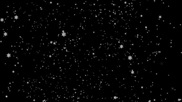 Flying Snowflakes Black Background Christmas Background White Snow Overlay Snow — Stock Video