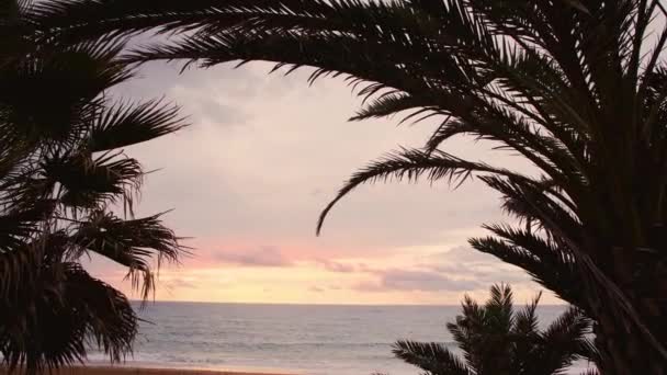 Niesamowity Pomarańczowy Wschód Słońca Plaży Palms Island Różowe Kolory Wschód — Wideo stockowe