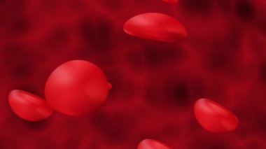 Damardaki kırmızı kan hücreleri 3 boyutlu animasyon. Atardamardaki kan hücreleri, vücudun içindeki akış, tıbbi sağlık hizmetleri. İnsan damarı mikroskop altında.