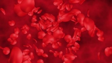 Damardaki kırmızı kan hücreleri 3 boyutlu animasyon. Atardamardaki kan hücreleri, vücudun içindeki akış, tıbbi sağlık hizmetleri. İnsan damarı mikroskop altında.