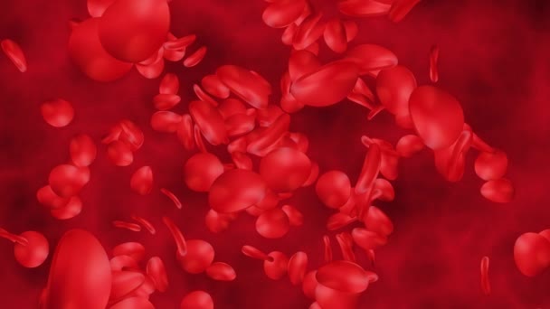 Piros Vérsejtek Vénában Animáció Vérsejtek Egy Artériában Áramlás Testben Orvosi — Stock videók