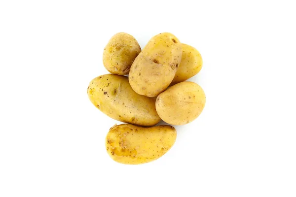被白色背景隔离的小马铃薯 收获新的 马铃薯的头像 — 图库照片