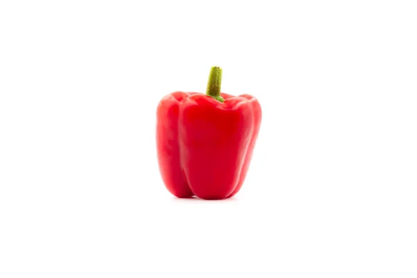 One Fresh Pepper Isolated White Background Red Sweet Paprika Isolated — Stock Photo, Image