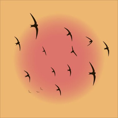 kuşlar hızlı uçan