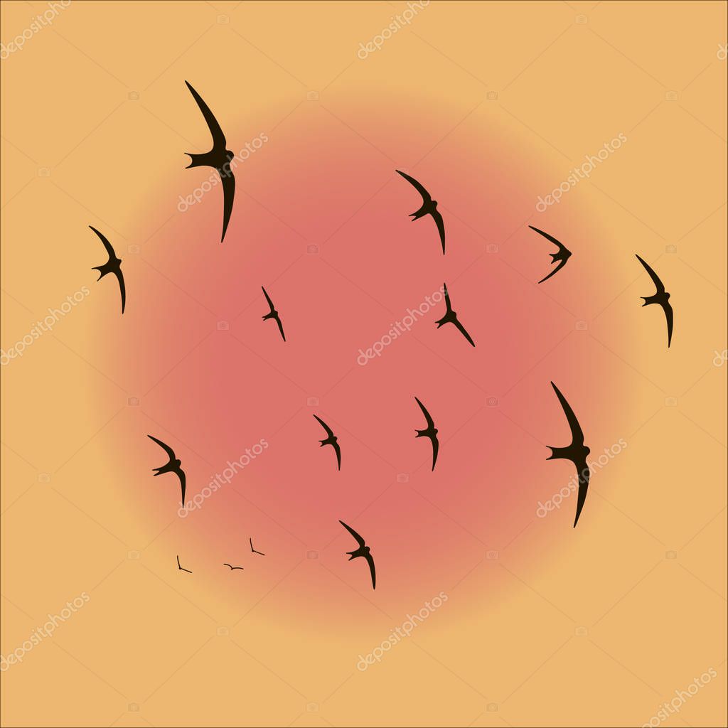 Vol Rapide Doiseaux Image Vectorielle Kvitkamia 129934048