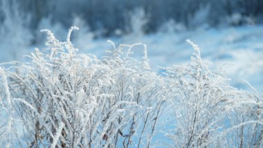 kış, kar, buz kristal