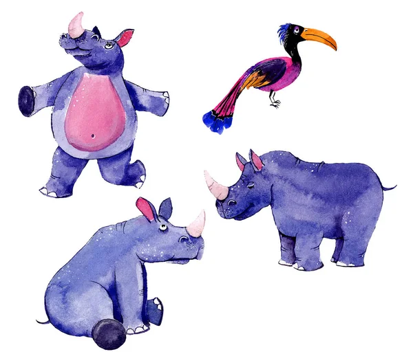 Suluboya cliparts bir dizi görüntü ile bir suaygırı ve toucan. 