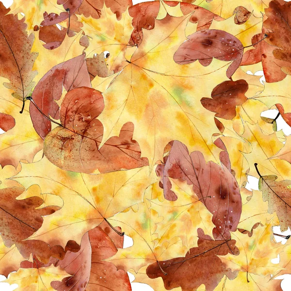 Akwarela bezszwowy wzór jesiennych liści. — Zdjęcie stockowe