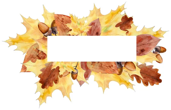 Осенние листья. Дизайн . — стоковое фото