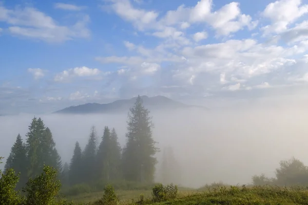 Mlhavá krajina. Ranní mlha vychází vysoko v Karpat horách. Ukrajina. — Stock fotografie