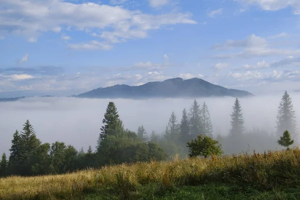 Туманный пейзаж. Утренний туман в горах Карпат. Украина . — стоковое фото