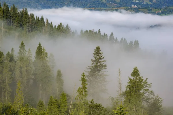 Paisaje brumoso. Niebla matutina amanecer en lo alto de las montañas Cárpatos. Ucrania . —  Fotos de Stock