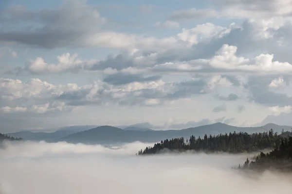 Туманный пейзаж. Утренний туман в горах Карпат. Украина . — стоковое фото