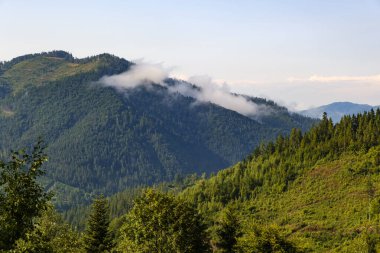 Karpat Dağları 'ndaki güzel manzara, Lviv bölgesi, Ukrayna.