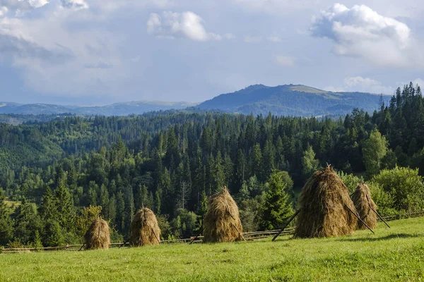 Krásná krajina horské louky s kupkami sena v Karpat. Lvovská oblast, Ukrajina. — Stock fotografie