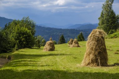 Karpat Dağları 'nda saman yığınları olan güzel bir dağ çayırı manzarası. Lviv bölgesi, Ukrayna.