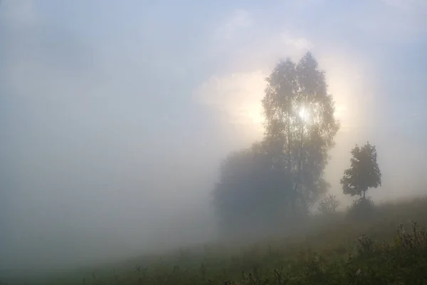 Neblige Landschaft. Morgennebel Sonnenaufgang hoch in den Karpaten. Ukraine. — Stockfoto