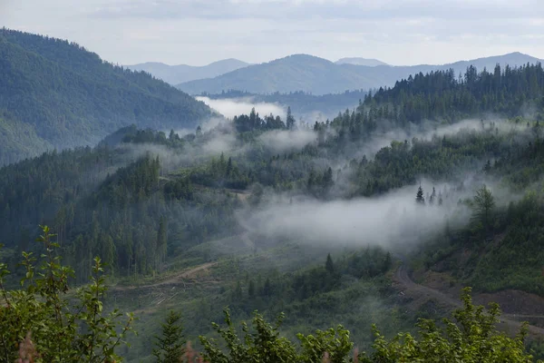 Misty landscape. Morning fog sunrise high in the Carpathian mountains. Ukraine. — Stock Photo, Image