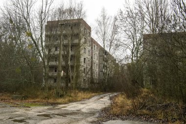 Terk edilmiş hayalet kasaba Prypiat. Aşırı büyümüş ağaçlar ve Chornobyl sınırlama bölgesinde yıkılan binalar. Aralık 2019