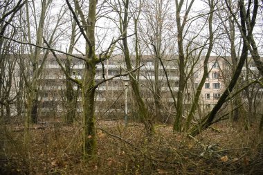 Terk edilmiş hayalet kasaba Prypiat. Aşırı büyümüş ağaçlar ve Chornobyl sınırlama bölgesinde yıkılan binalar. Aralık 2019