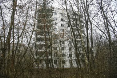 Terk edilmiş hayalet kasaba Prypiat. Aşırı büyümüş ağaçlar ve Chornobyl sınırlama bölgesinde yıkılan binalar. Aralık 2019