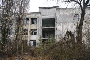 Terk edilmiş hayalet kasaba Prypiat. Aşırı büyümüş ağaçlar ve Chornobyl sınırlama bölgesinde yıkılan binalar. Aralık 2019